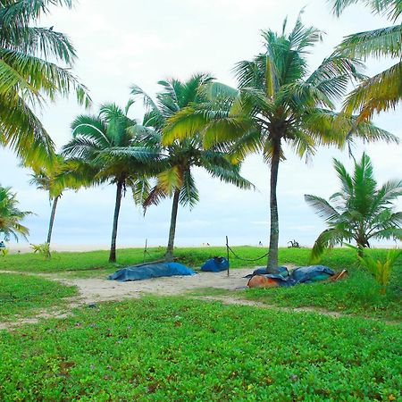 Marari Nest Beach Homestay Mararikulam Kültér fotó