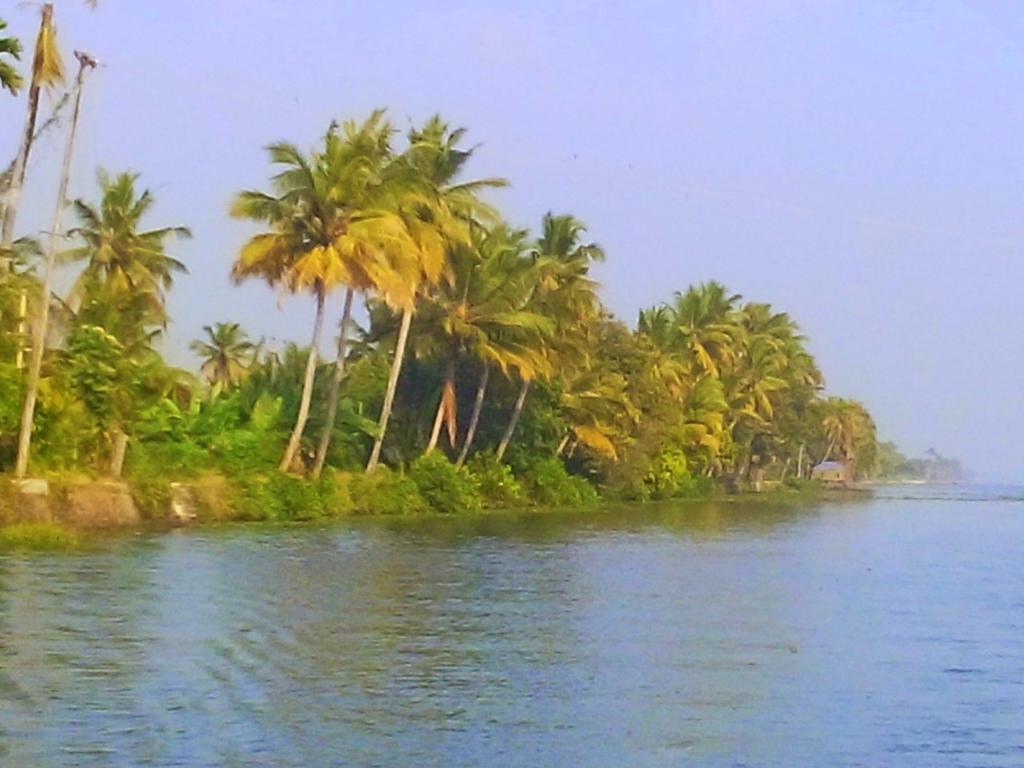 Marari Nest Beach Homestay Mararikulam Kültér fotó