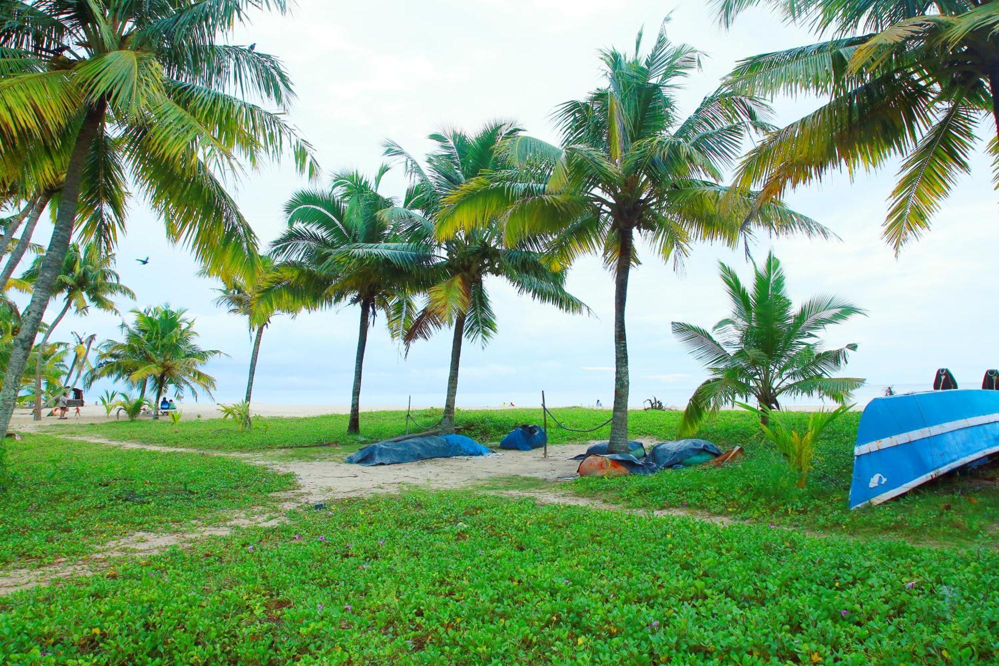Marari Nest Beach Homestay Mararikulam Kültér fotó